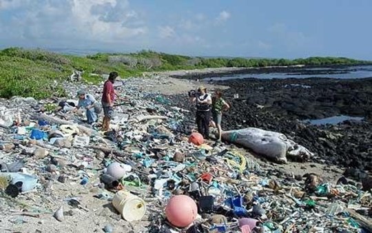 In The Ocean, The Most Harmful Plastic Is Too Small To See