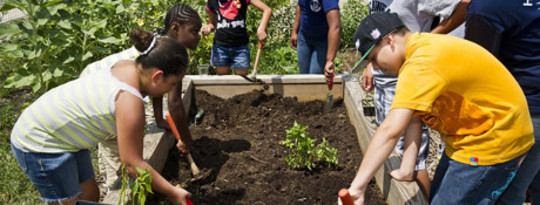 canden community garden