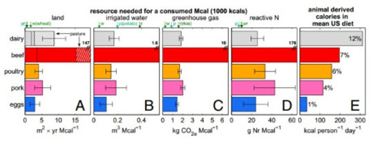 cattle climate