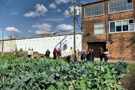 community gardens4 4 10