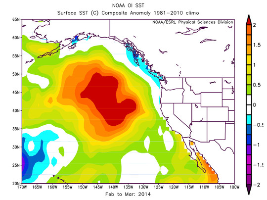 pacific blob3