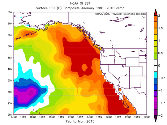 pacific blob4