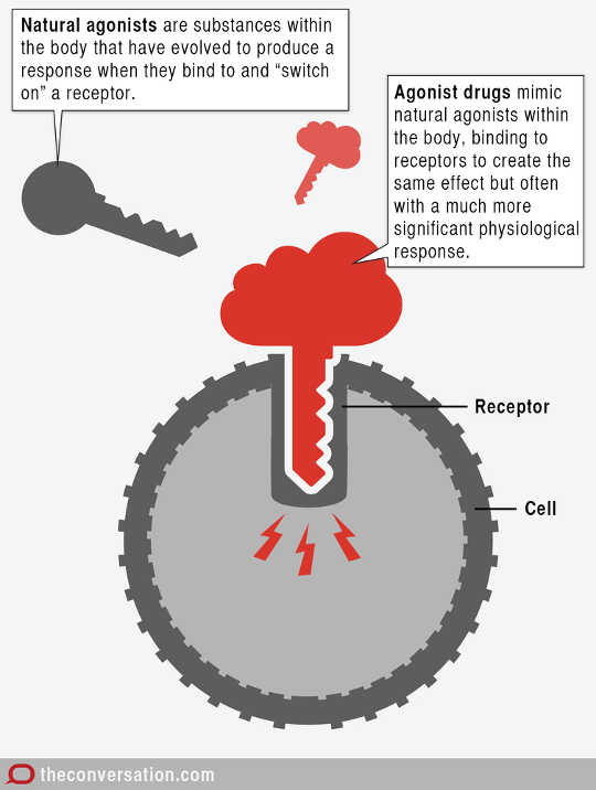 CC BY-ND Antagonist drugs