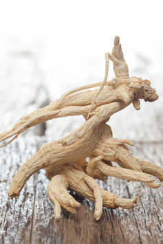 ginseng 3 1