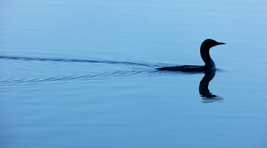 Making a Habit of Mindfulness, One Minute At A Time