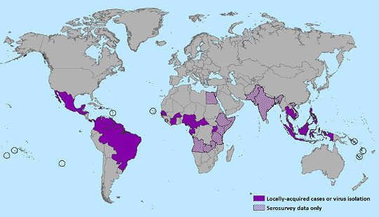 The Zika Virus Echoes Of US Rubella Outbreak Of 1964-65