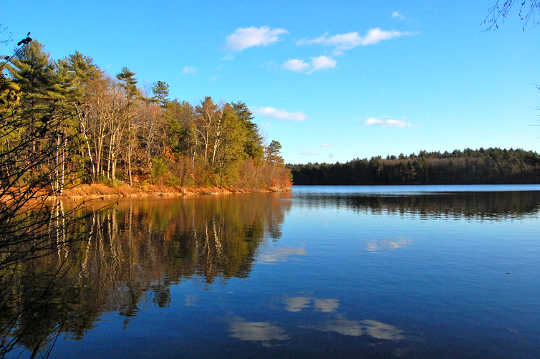 Why Thoreau, Born 200 Years Ago, Has Never Been More Important