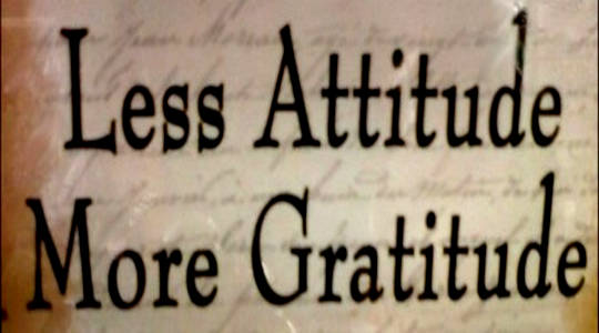 Being Grateful for Everything and Everyone: It Changes Everything