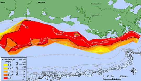 Nutrient pollution from Midwest farms washes into the Gulf of Mexico every spring