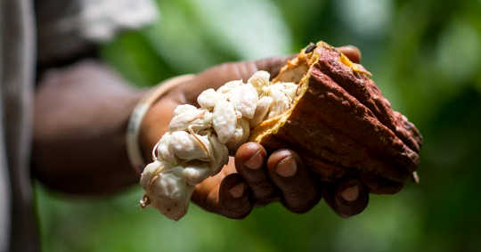 The origin of your chocolate bar. 