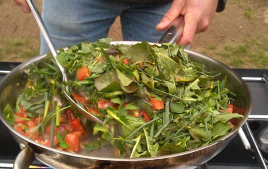 People Have Been Cooking Plants In Pots For 10,000 Years