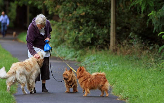 Why More Time Walking Means Less Time In Hospital