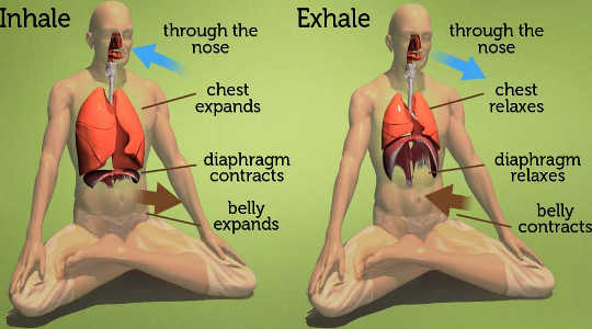 From Decapitation To Positive Psychology: How One Nerve Connects Body, Brain And Mind