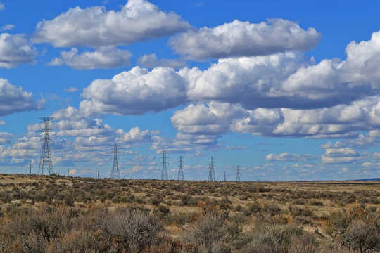 Cumulus: little white fluffy clouds.