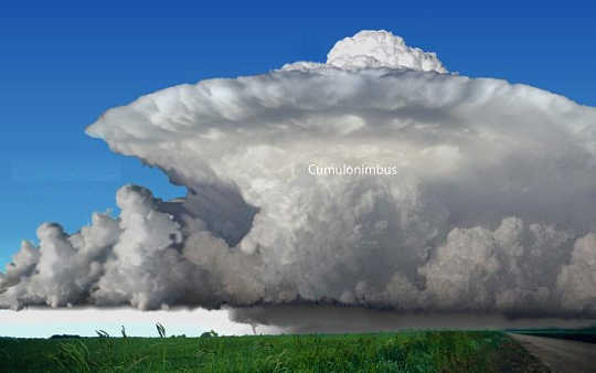 A Cumulonimbus with its characteristic anvil shape.