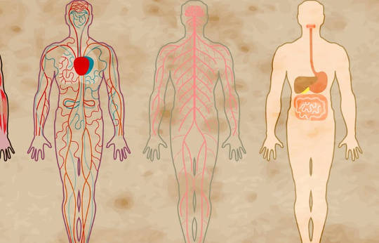 How Schizophrenia Affects The Body, Not Just The Brain