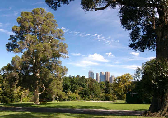 Live in a city? The take time to walk in the city’s parks and gardens (Why a walk in the woods really does help your body and your soul)