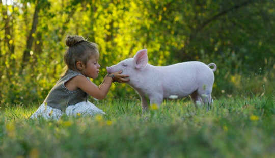 Early childhood experiences can shape how we feel about animals (Why people become vegans: the history sex and science of a meatless existence)