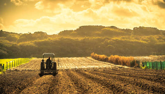 How Climate Change Will Reshape The World’s Agricultural Trade