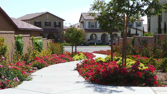 Want To Fight Crime? Plant Some Flowers With Your Neighbor