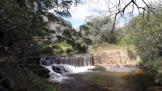 Can Virtual Nature And Poo Transplants Solve City Dwellers' Health Problems?