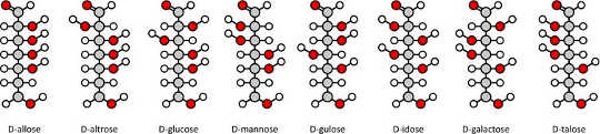 Cracking The Sugar Code: Why The Glycome Is The Next Big Thing In Health And Medicine