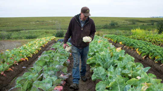 Everything You Need To Know About Fresh Produce And E. Coli