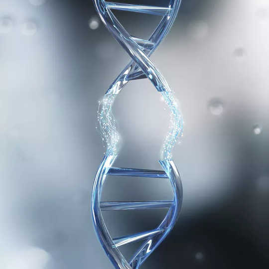 In 16p11.2, part of the DNA on chromosome 16 is missing or repeated. (rare genetic changes are linked to autism and other psychiatric disorders)