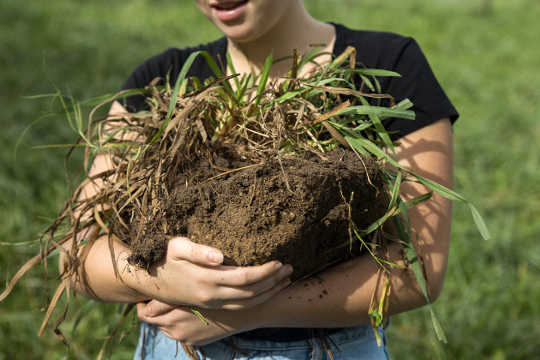 The Climate Solution Right Under Our Feet