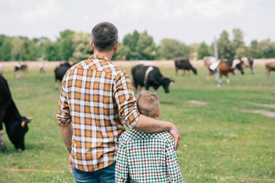 US Rural Hospitals Are Closing, Reaching Crisis Stage, Leaving Millions Without Nearby Health Care