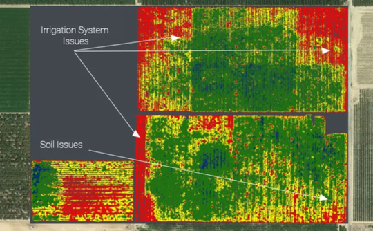 How Artificial Intelligence Is Changing the Way We Farm