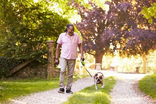 Aging With Pets Isn't Just A Sentimental Concern, But A Matter Of Health And Wellness