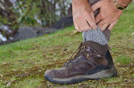 Ticks Spread Plenty More Than Lyme Disease