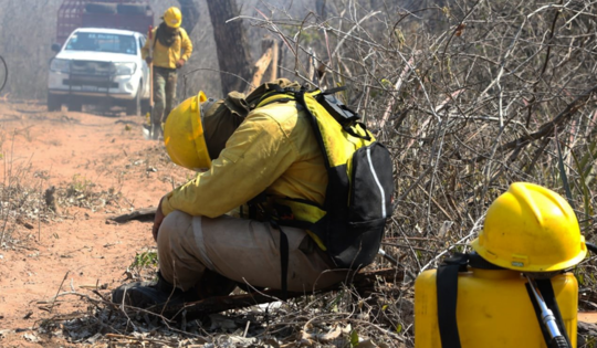 It’s Not Just Brazil's Amazon Rainforest That’s Ablaze – Bolivian Fires Are Threatening People And Wildlife