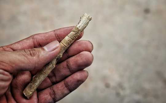 Not Everyone Uses A Toothbrush And Toothpaste To Clean Their Teeth