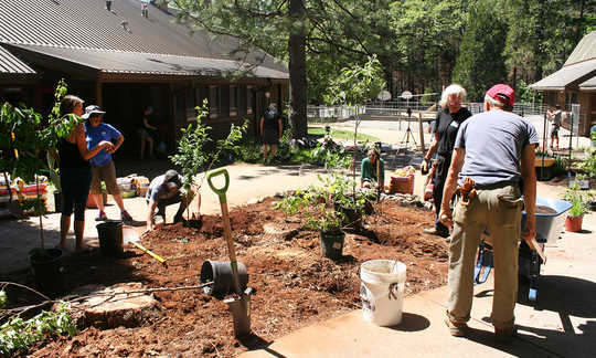 How Permaculture Is Helping Wildfire Survivors Recover