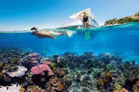 Two Reef Scientists Share Their Climate Grief