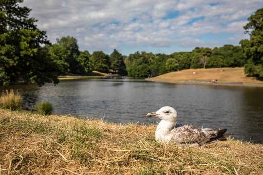 Animals Will Struggle To Adapt Fast Enough To Cope With Climate Change