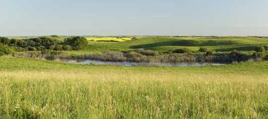 Warmer, Wetter Climate Benefits Some Birds As Wetlands Vanish