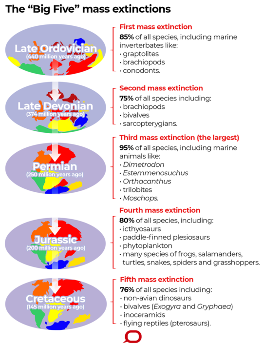 What Is A Mass Extinction and Are We In One Now?