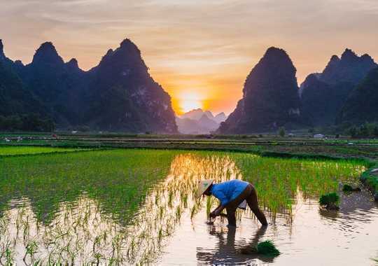 How Archaeology Can Help Us Build A Sustainable Future For Food