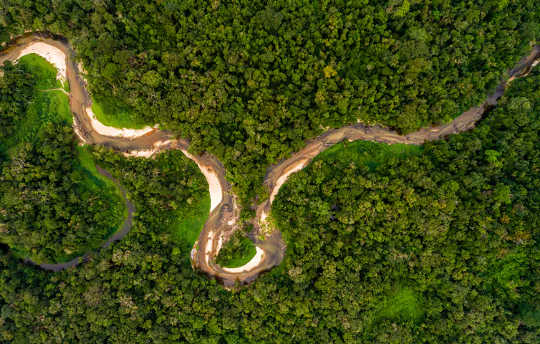 What Would Happen If We Cut Down The Amazon Rainforest?