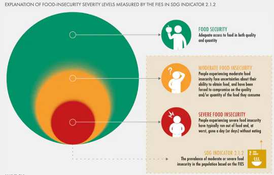 To Reduce World Hunger, Governments Need To Think Beyond Making Food Cheap