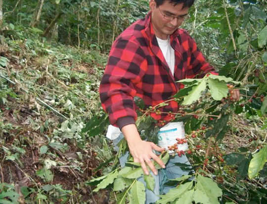 A Tale Of Two Coffee Farmers: How They Are Surviving The Pandemic In Honduras