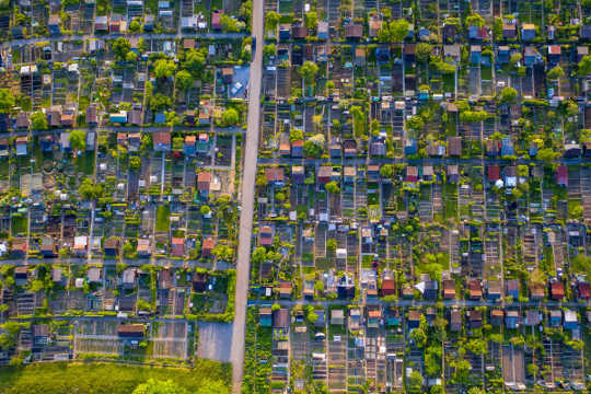 How Cities Can Offer Urban Oases For Bees And Butterflies