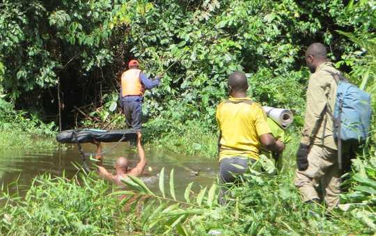 Why Rainforests Are Losing Their Power To Help Humanity