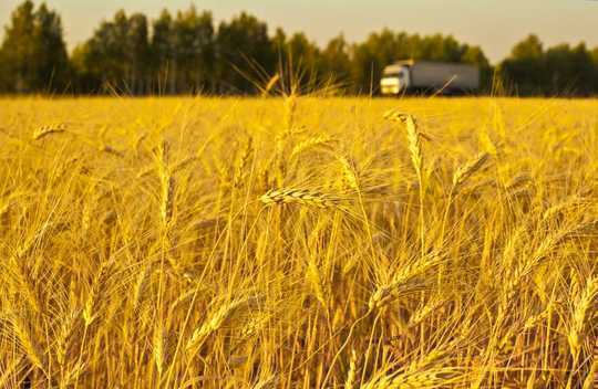 We Simulated How A Modern Dust Bowl Would Impact Global Food Supplies And The Result Is Devastating