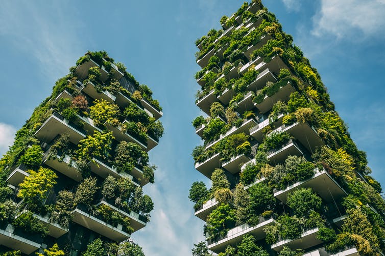 The Urban Forest Of The Future: How To Turn Our Cities Into Treetopias