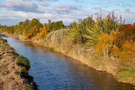 Stoneflies And Mayflies Are The 'Coal Mine Canaries' Of Our Streams