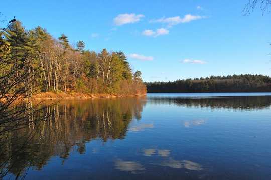 What Walden Can Tell Us About Social Distancing And Focusing On Life's Essentials